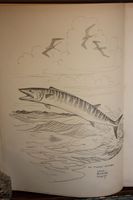 Jim Cooney Rare Books
