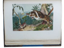 Antiquariaat Forum / Asher Rare Books