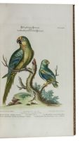 Antiquariaat Forum / Asher Rare Books